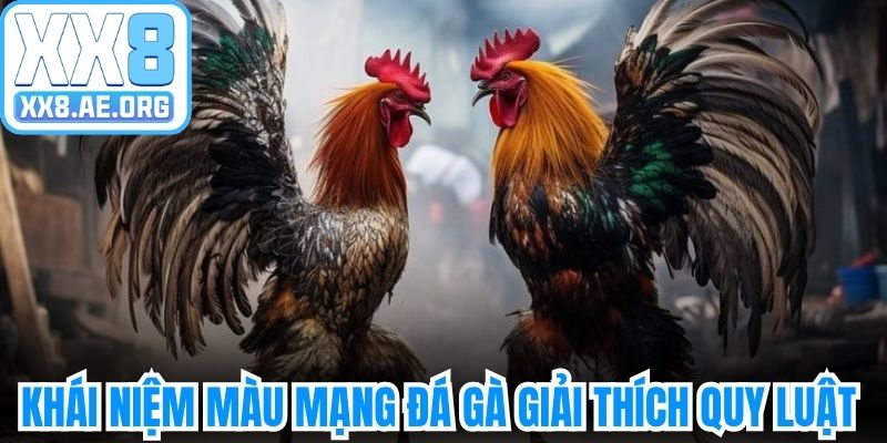 Khái niệm màu mạng đá gà giải thích quy luật